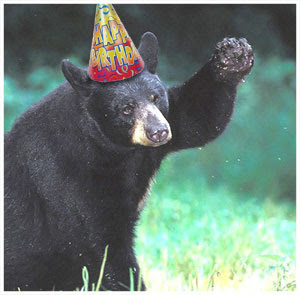 bear_happy+birthday.jpg